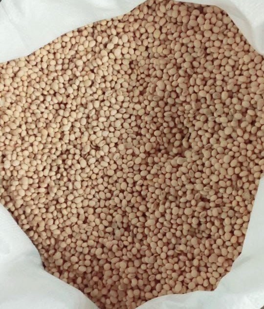 photo_2024-02-09_15-16-07